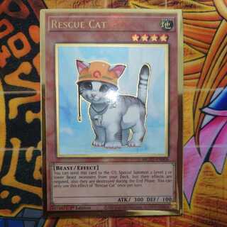 レスキューキャット(ﾌﾟﾚｺﾞﾙ英語)