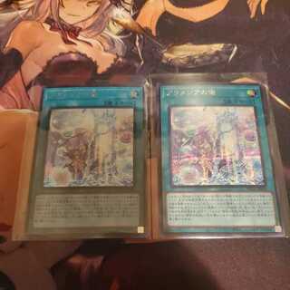 adonisさん専用 アラメシアの儀