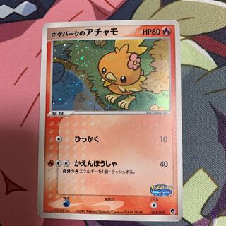 Torchic in the Poke Park