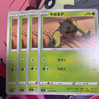 サボネア4枚セット