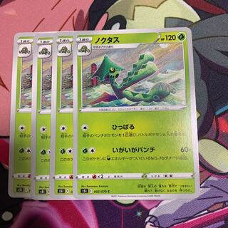 ノクタス4枚セット