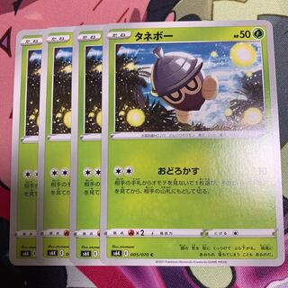 タネボー4枚セット