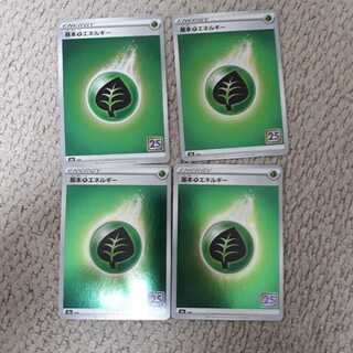 25th Basic GrassEnergy 4-piece set