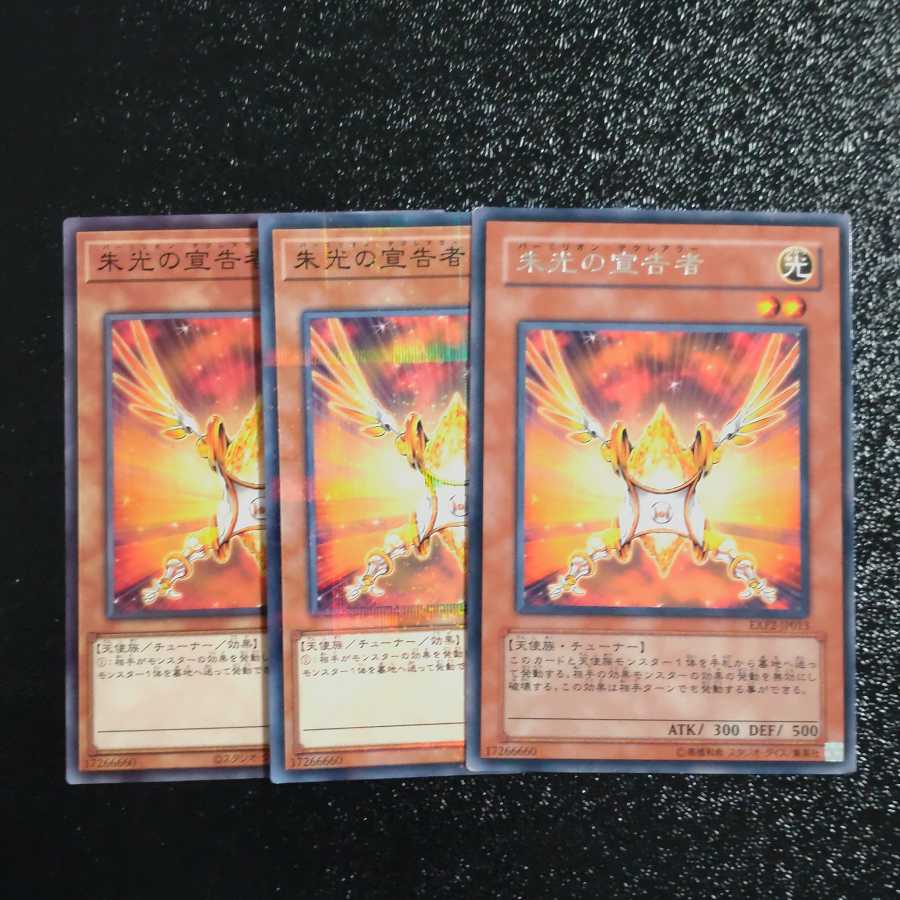 朱光の宣告者✕３　【木林堂】