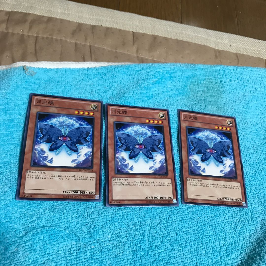 mg8-3 月光蝶３枚