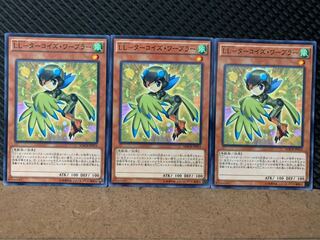 【ぽぽたん】遊戯王 8157 LL-ターコイズ・ワーブラー 3枚 ノーマル