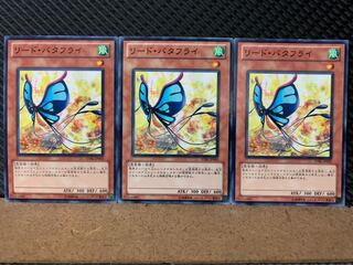 Popotan] Yu-Gi-Oh! 8160 Reed Butterfly 3 Normal