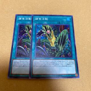 捕食活動 スーパーレア　2枚セット