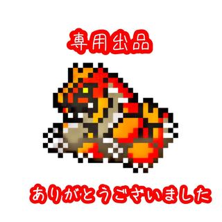 こう様 専用出品