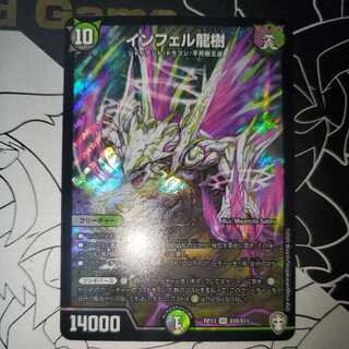 インフェル龍樹