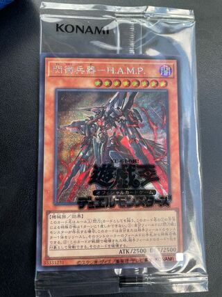 H.A.M.P. Flash Weapon - H.A.M.P. Flash Activation - Linkage Secret