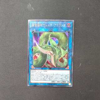 捕食植物ヴェルテ・アナコンダ ウルトラレア