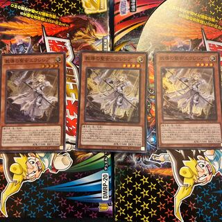 教導の聖女エクレシア