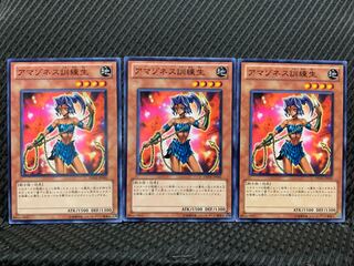 【ぽぽたん】遊戯王 328 アマゾネス訓練生 3枚 ノーマル