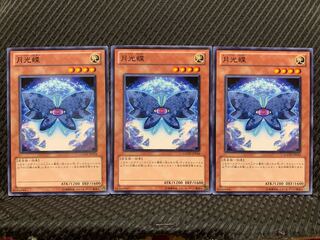 【ぽぽたん】遊戯王 1537 月光蝶 3枚 ノーマル