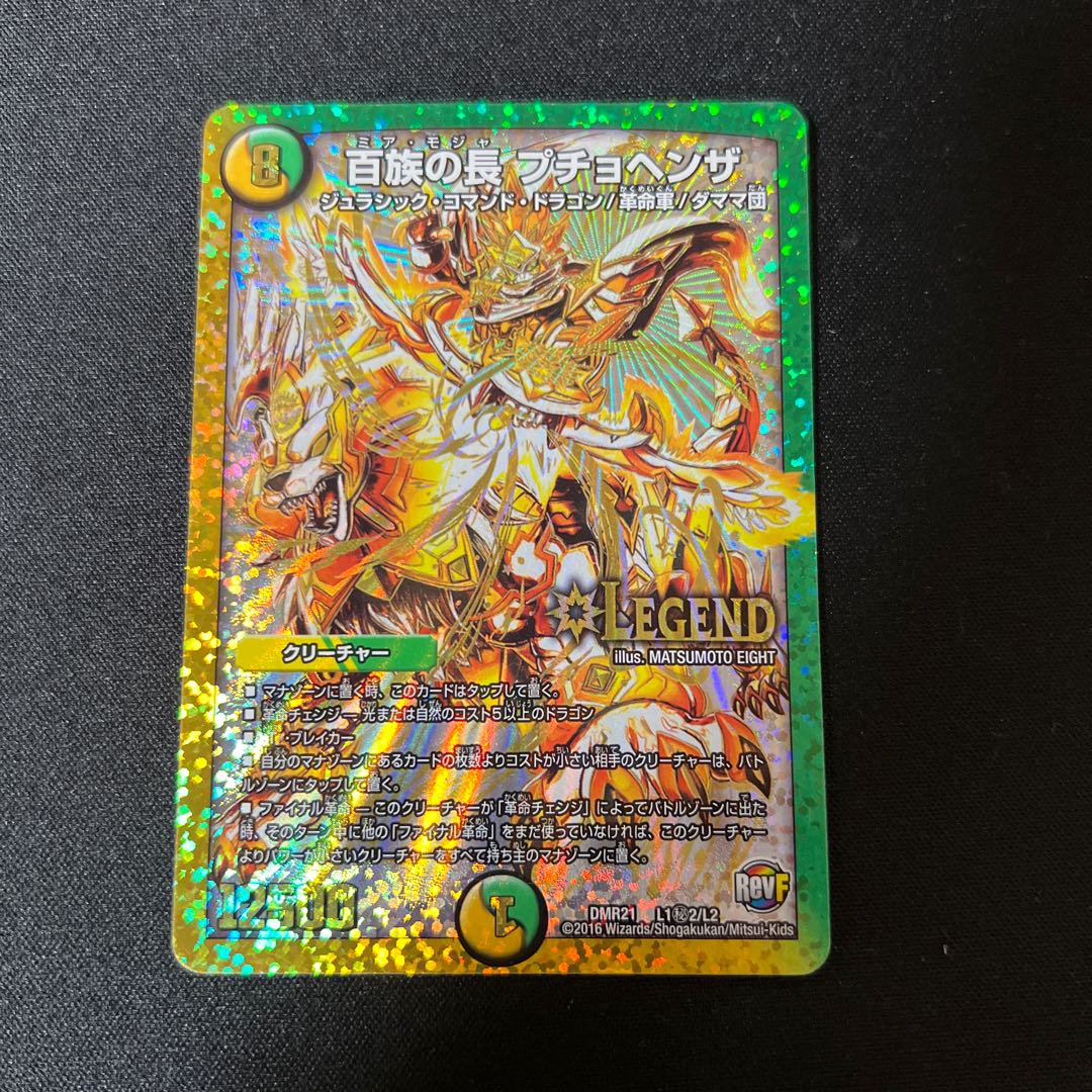 Puchohenza, chief of the Hundred Tribes