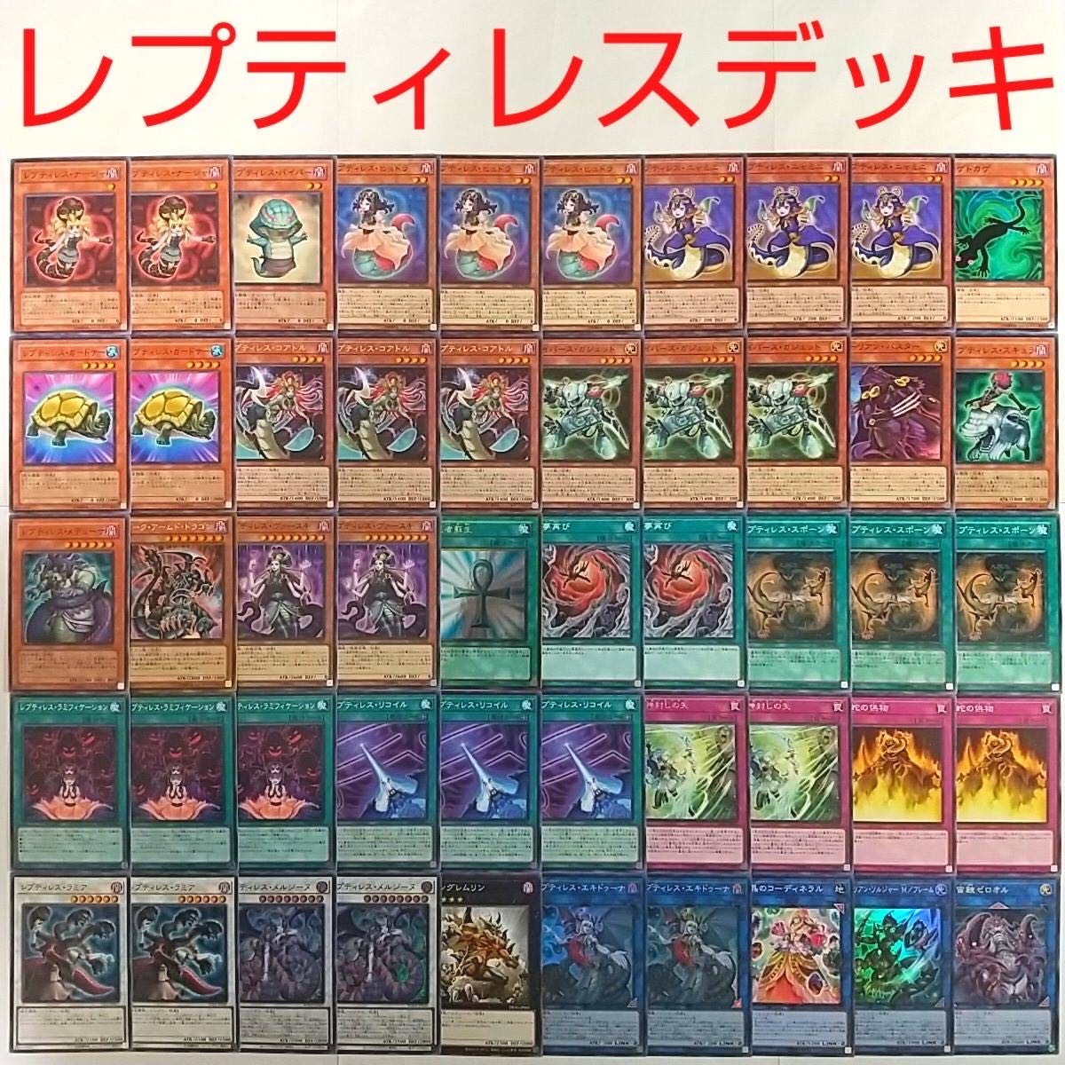 [Yu-Gi-Oh! Deck] Reptiless Echiduna Aelian Soldier M/Frame