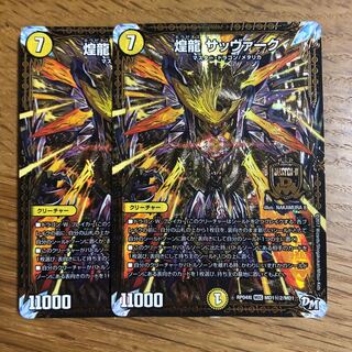 煌龍サッヴァーク シク 2枚セット