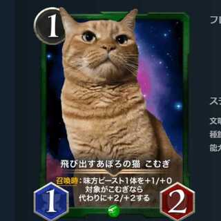 飛び出すあぽろの猫 こむぎ 60枚セット