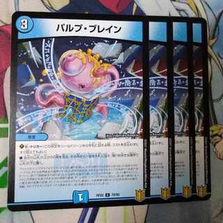 Pulp and Bulettein C 70/95