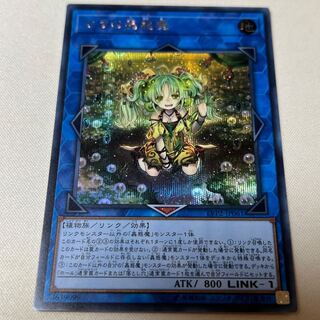 Traptrix Sera Secret Rare