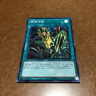 捕食活動 スーパーレア