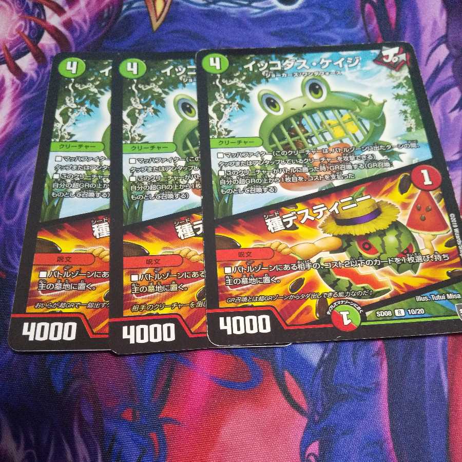 イッコダス・ケイジ｜種デスティニー R