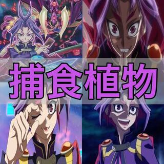 No.214 遊戯王　本格構築!! 捕食植物デッキ　40枚＋EX15枚