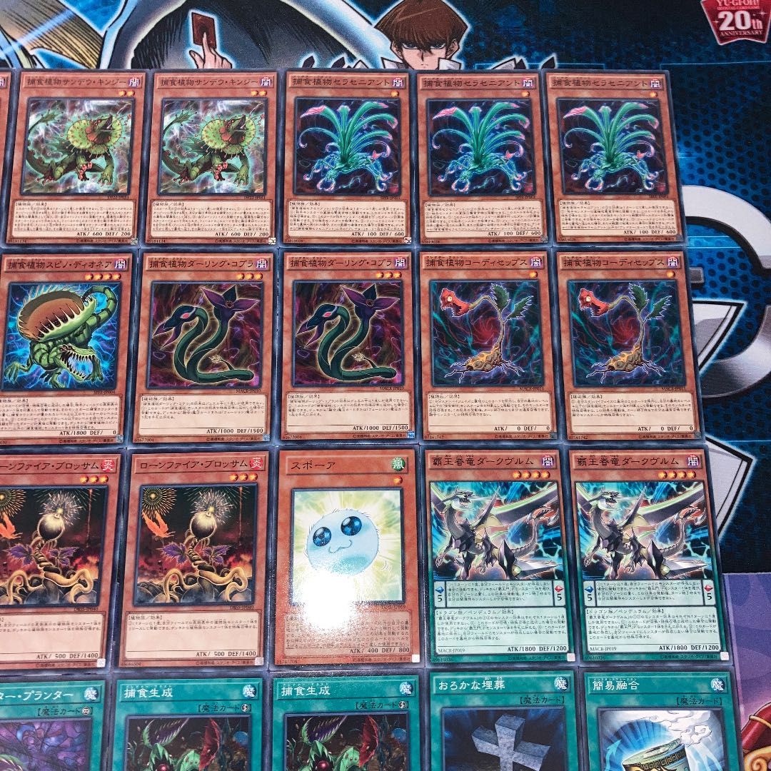 No.214 遊戯王　本格構築!! 捕食植物デッキ　40枚＋EX15枚