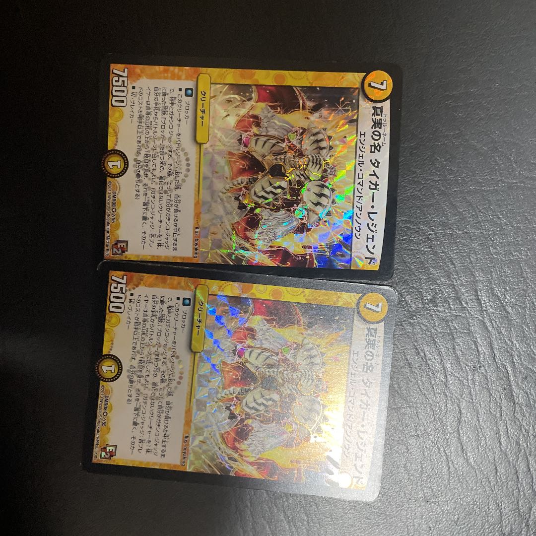 真実の名 タイガー・レジェンド VR