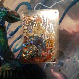 HGD10魔神ドミグラ 専用