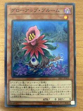 グローアップ・ブルーム スーパーレア