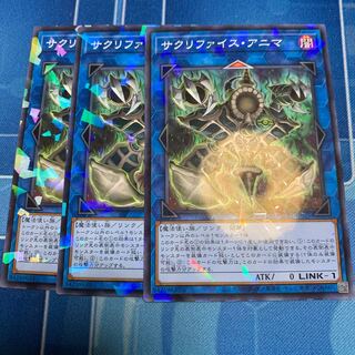 サクリファイス・アニマ　ノーパラ