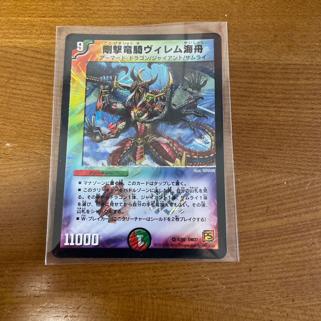 剛撃竜騎ヴィレム海舟