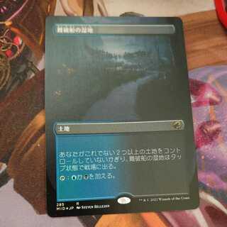 Shipwreck Marsh Foil Extended Foil