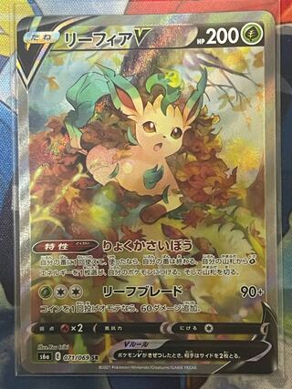 LeafeonV SA