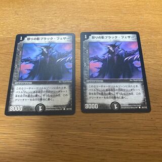 怒りの影ブラック・フェザー　2枚