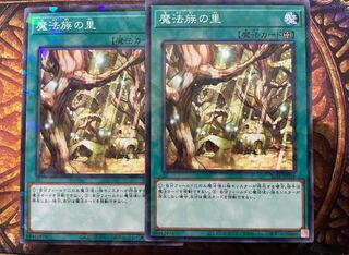 Secret Village of the Spellcasters 2 no. paras.