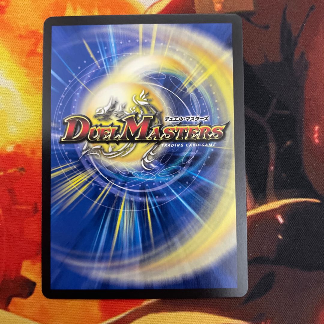 Knight of the Shield of the Absolute."