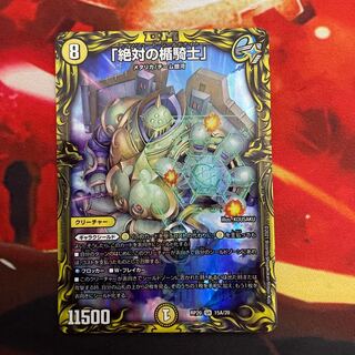 「絶対の楯騎士」