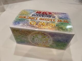 【未開封】シークレットシャイニーボックス