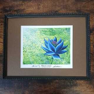 【専用】額装済《Black Lotus》証明書付 サイン入りアートプリント
