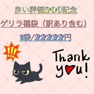 ゲリラ! 良評価200記念福袋(訳あり含む)♪ 1枚