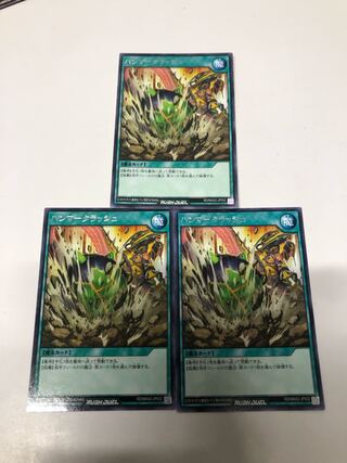 C4カルラ様専用