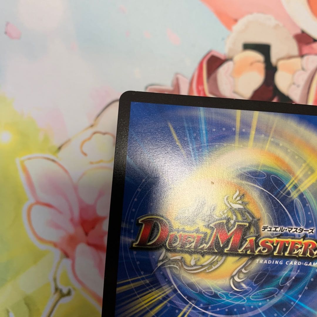 ドマンモ龍樹　2枚