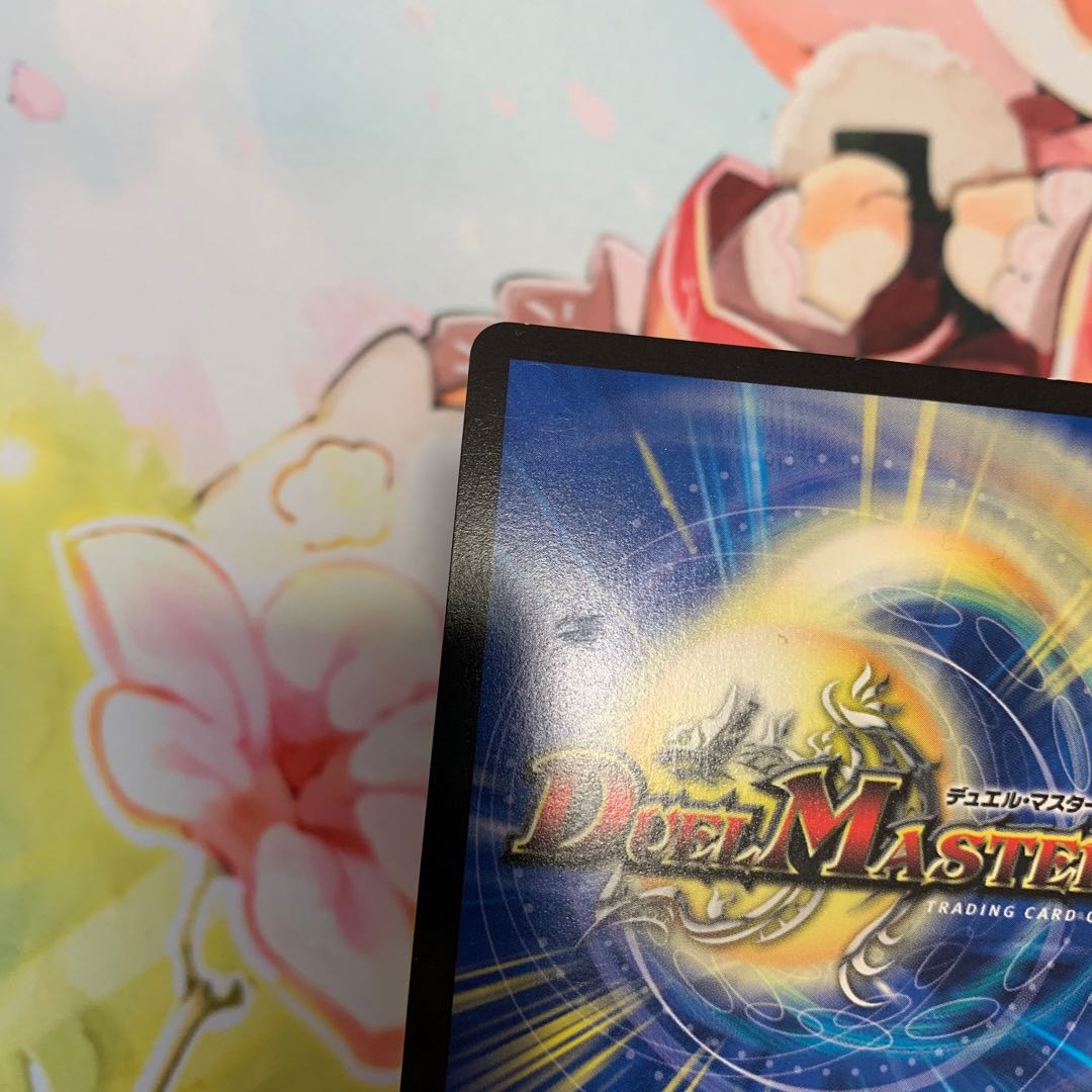 ドマンモ龍樹　2枚