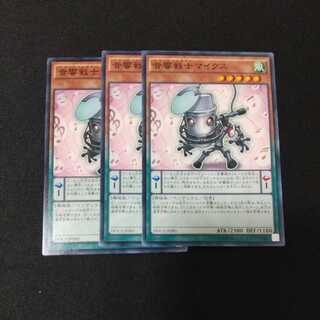 Symphonic Warrior Miccs Normal