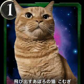 [Exclusive to Papa] Popping out Apollo cat Komugi [2 sheets].