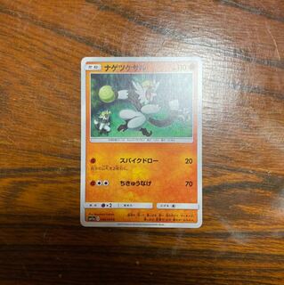 silky monkey (Cercopithecus cephus)