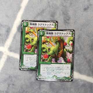 有毒類 ラグマトックス